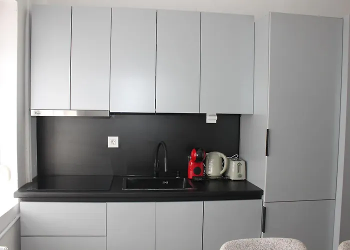 Luxury Old Bazaar & Center Apartment